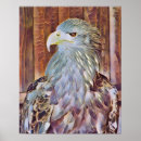 Buscar águila blanca posters Vida silvestre