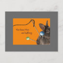 Buscar dolor postales Gatos