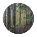 Buscar sendero tablas cortar Bosque