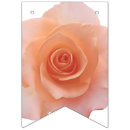 Buscar fotografía banderines Rosa