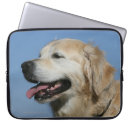 Buscar perros perdigueros fundas Foto