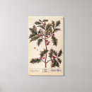 Buscar curioso lienzos Elizabeth