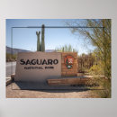 Buscar cactus del saguaro posters Para todos