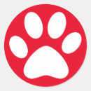 Buscar perro simple Gato