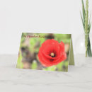 Buscar amapolas rojas tarjetas Flor