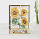Buscar huerto tarjetas Girasol
