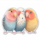 Buscar pájaros bonitos pegatinas De pájaro