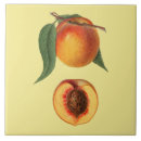 Buscar peach azulejos Acuarela
