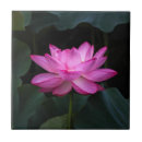 Buscar loto azulejos Planta