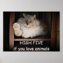 Buscar comprar posters Animales