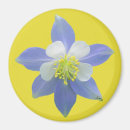 Buscar columbines imanes Columbina