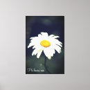 Buscar te quiero lienzos Amar