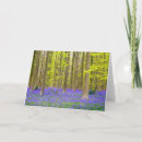Buscar bélgica tarjetas Bosque