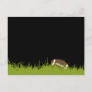 Buscar estupendo postales Deportes