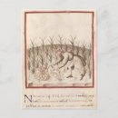 Buscar extracción postales Recolección