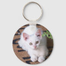 Buscar gatitos llaveros Para ella