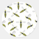 Buscar avispa pegatinas Naturaleza
