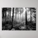 Buscar místicos posters General y unisex