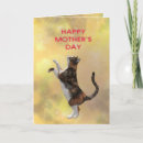 Buscar gato y gatitos la madre tarjetas Gatos