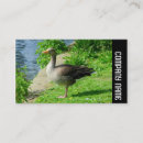 Buscar goma tarjetas de visita Elegante