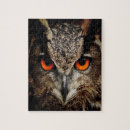 Buscar búho marrón puzzles Animal