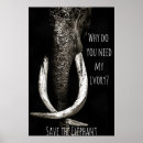 Buscar elefante blanco negro posters Naturaleza