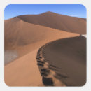 Buscar namibia pegatinas Desierto
