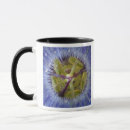 Buscar rf tazas Flora