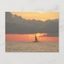 Buscar clearwater postales Palmeras