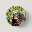 Buscar toro chapas Vida silvestre