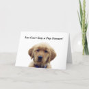 Buscar mordisco tarjetas Para todos