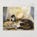 Buscar duermen postales Gatos