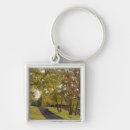 Buscar kentucky llaveros Lexington