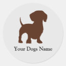 Buscar dashund Perro