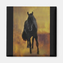 Buscar frisios imanes Caballos