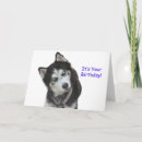 Buscar perro del husky siberiano tarjetas Tarjeta de saludo