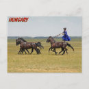 Buscar caballo y jinete postales Vaquero