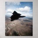 Buscar mirlo posters Reconocimiento