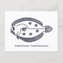 Buscar fish postales Mar