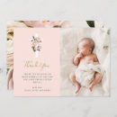 Buscar helechos tarjetas Floral