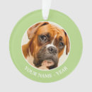 Buscar primer navidad mascotas Perrito