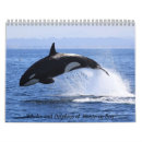 Buscar ballenas calendarios Delfín