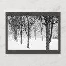 Buscar nevando postales Árboles
