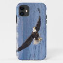 Buscar rapaz iphone fundas Animal