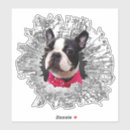 Buscar boston pegatinas parachoque Cachorro