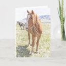 Buscar mustang tarjetas Vida silvestre
