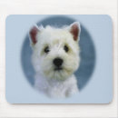 Buscar westie fotografía Animales