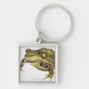 Buscar rana verde llaveros Reptiles
