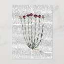 Buscar steampunk postales Contemporáneas