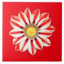 Buscar margaritas africanas azulejos Margarita africana